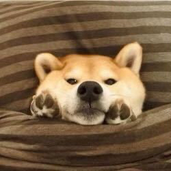 看阴云
