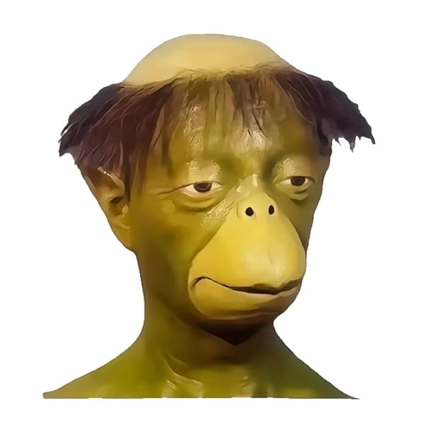 ZLAER