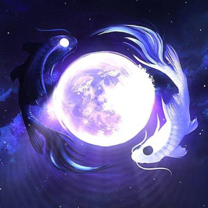 Koi moon