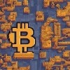 CriptoVencedor