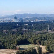 268268旺