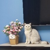 F冯先生
