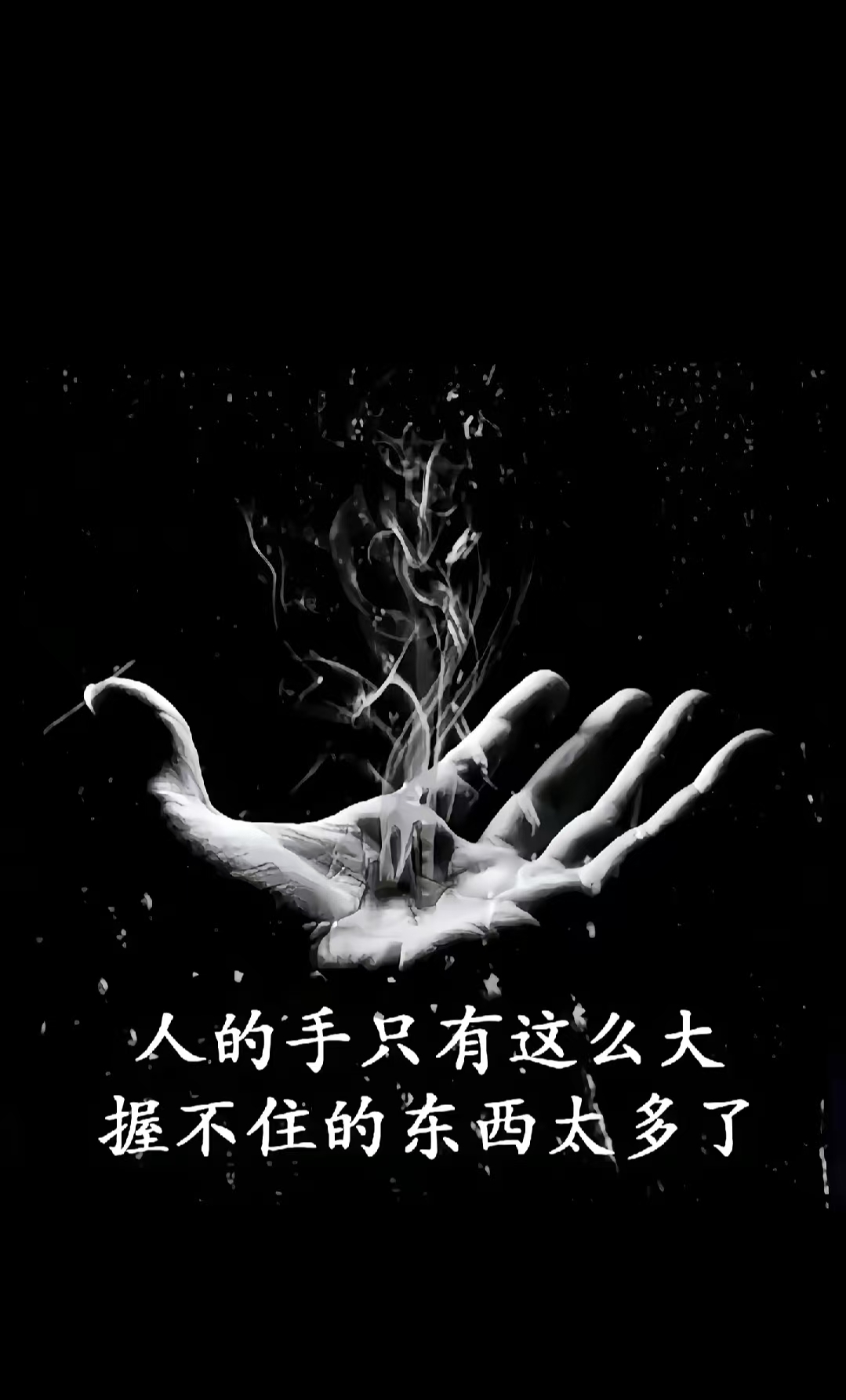 蚂蚁规律